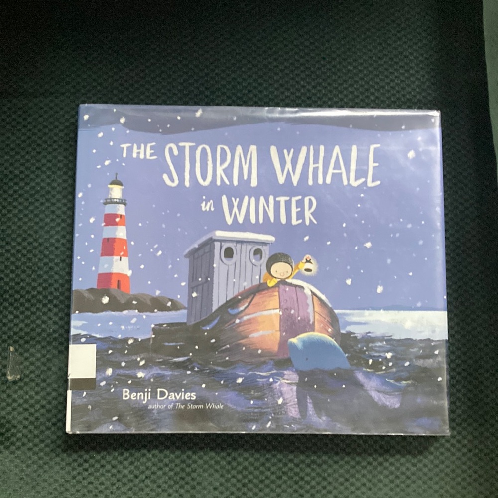 The storm Whale in Winter